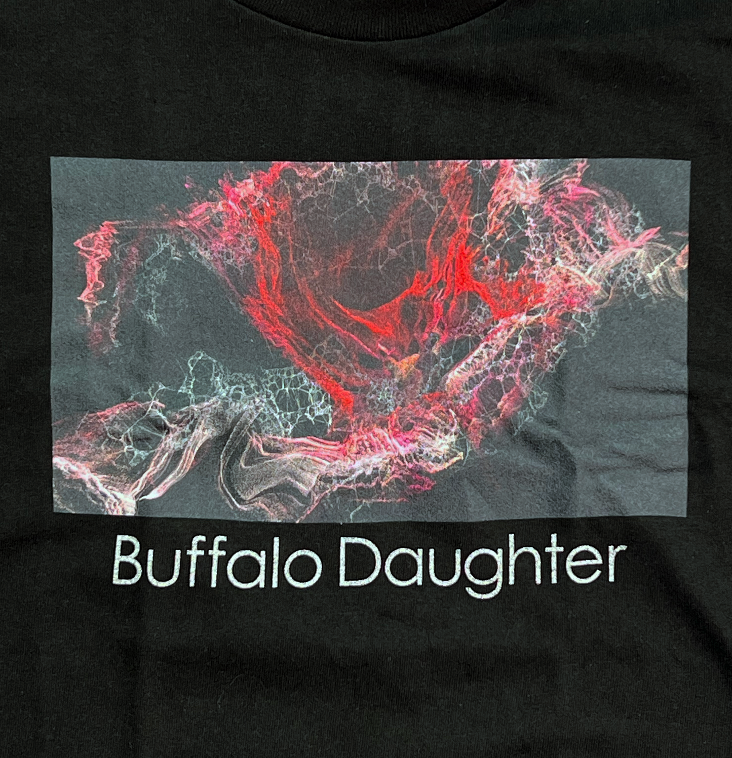 Buffallo Daughter ET(Densha)Tee