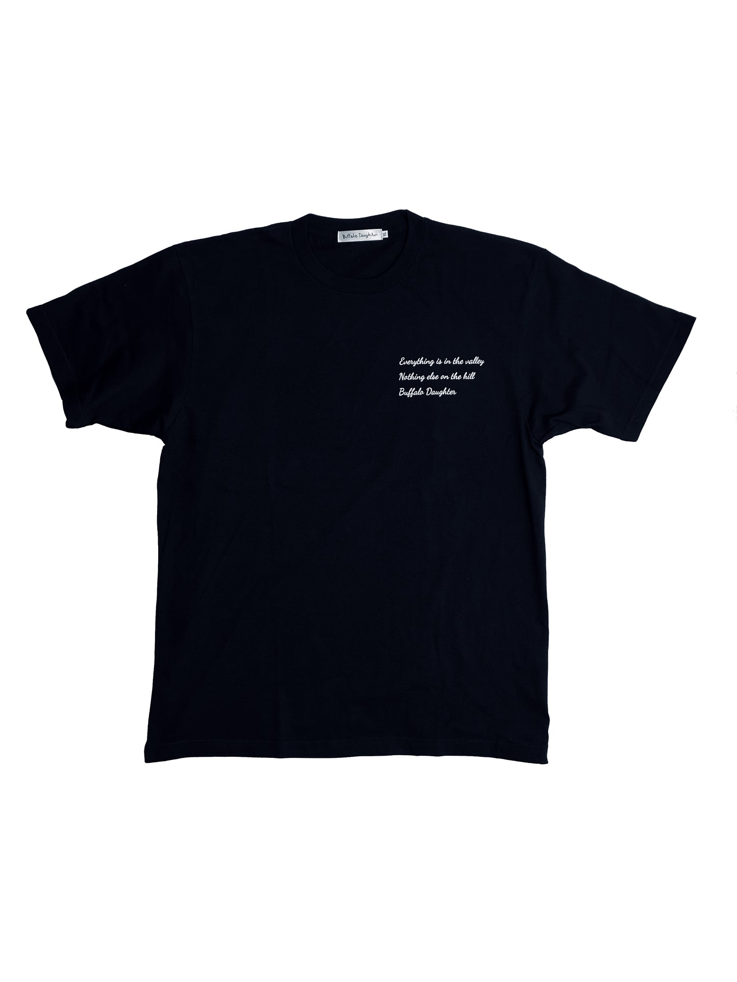 Buffallo Daughter 「Everything Valley」 Tee