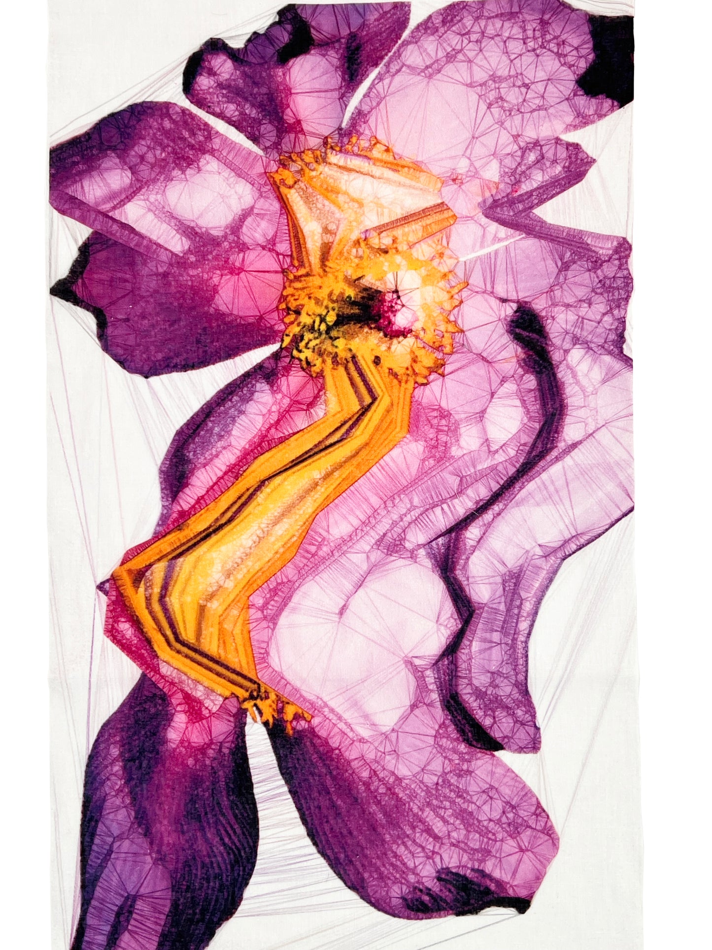Buffalo Daughter Art Chief (Violets) ET (Dehnsha) Buffalo Daughter x Ryoichi Kurokawa x Masataka Hosoo