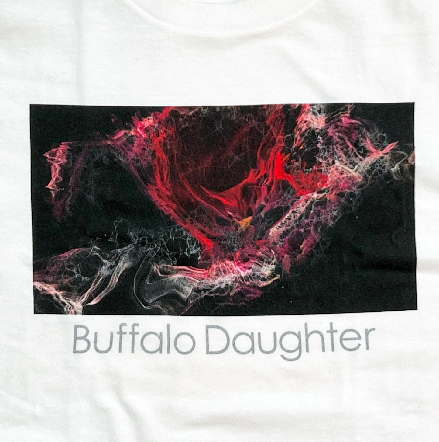 Buffallo Daughter ET(Densha)Tee