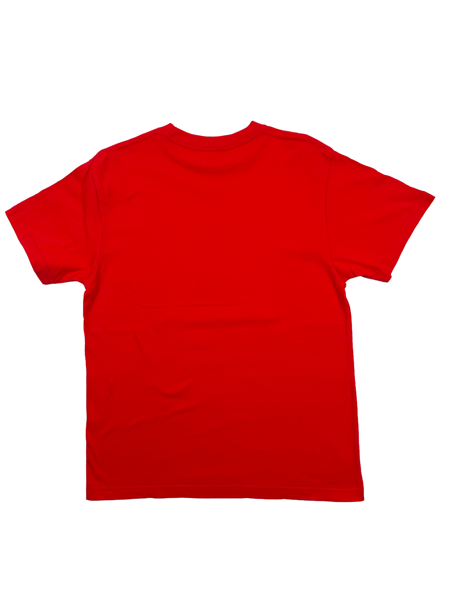 "Fire Horse" T shirt