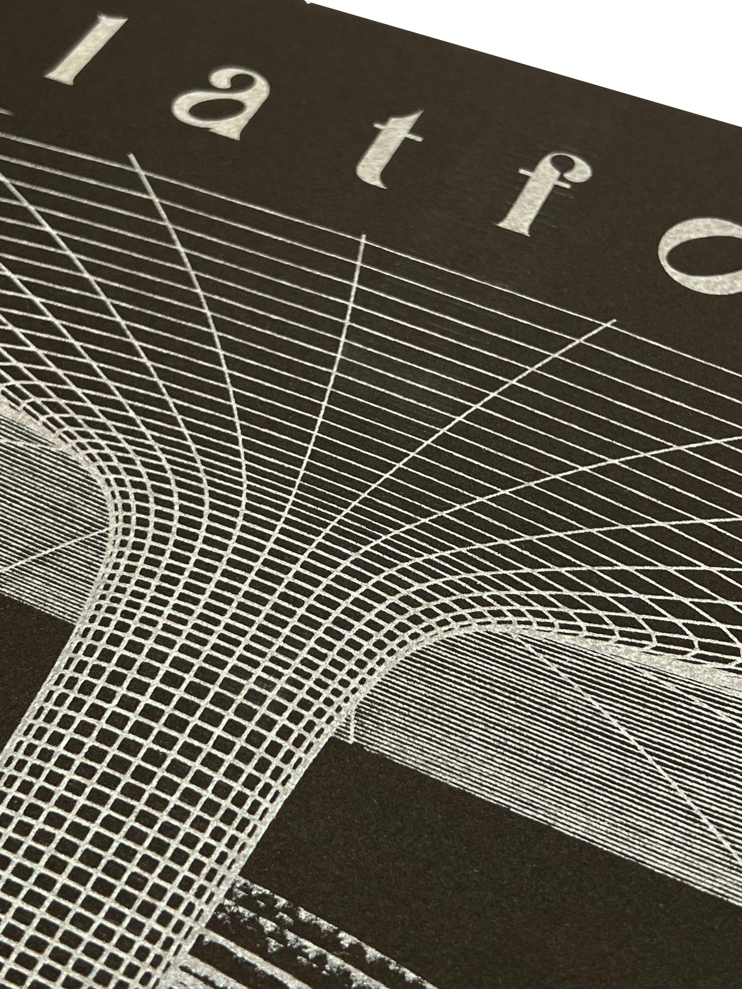 platform "P-hole" RISOGRAPH Poster