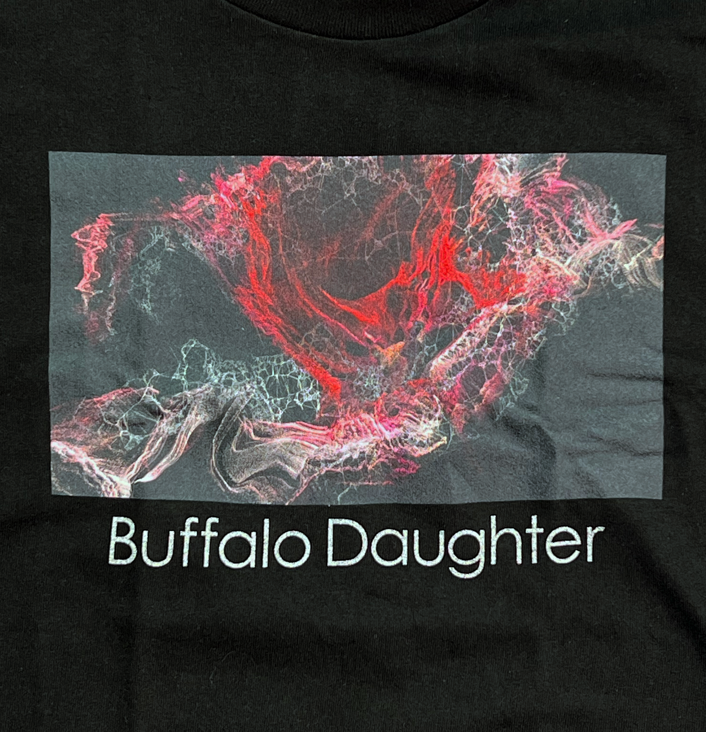 Buffallo Daughter ET(Densha）Tee