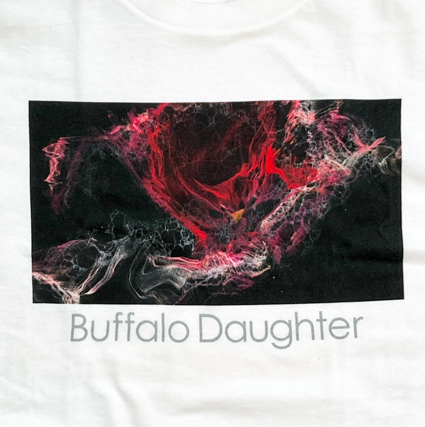 Buffallo Daughter ET(Densha）Tee