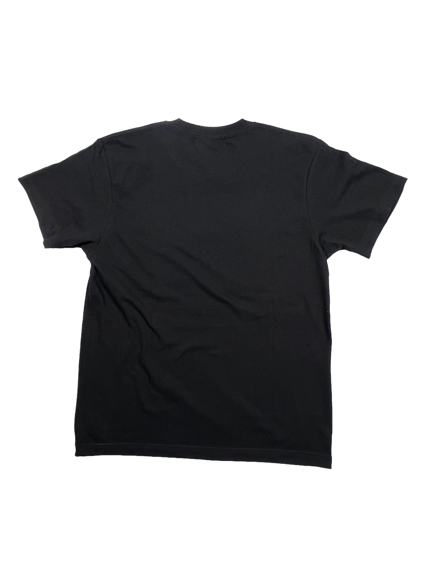 "Fire Horse" T shirt